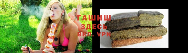 apvp Алексин